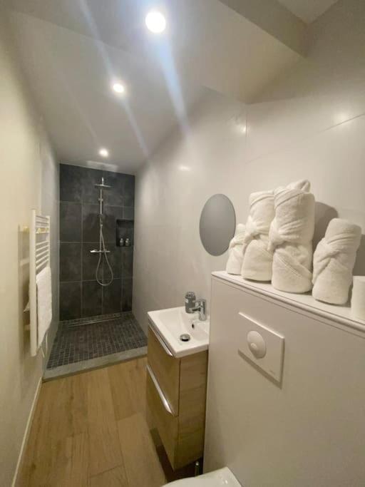 Appartement T2 Spacieux Et Equipe Mions Extérieur photo